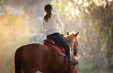Passeio a cavalo por São Cristóvão