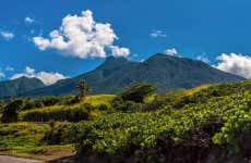 Randonnée sur le volcan Liamuiga