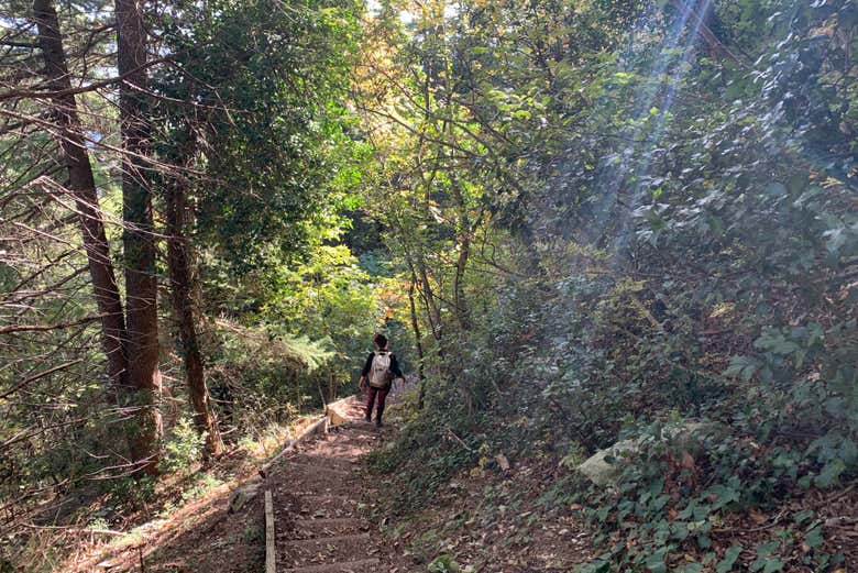 Circondati dalla natura indomita