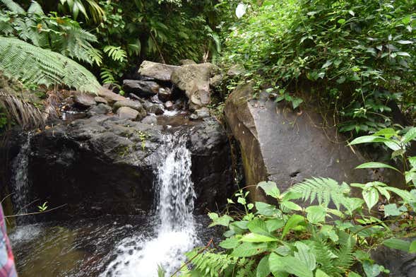 Dark View Falls Tour