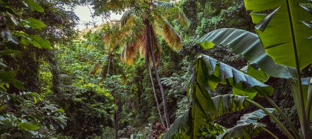 Excursión a Vermont Nature Trail