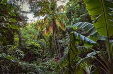 Vermont Nature Trail Tour