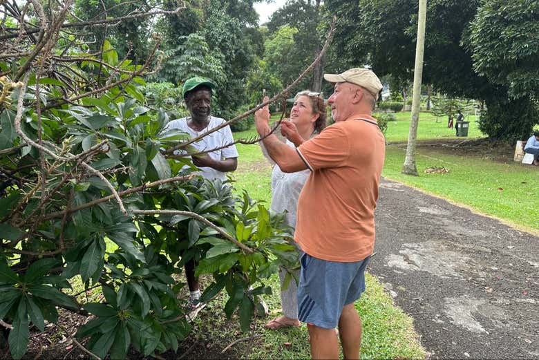 Durante il tour di Kingston