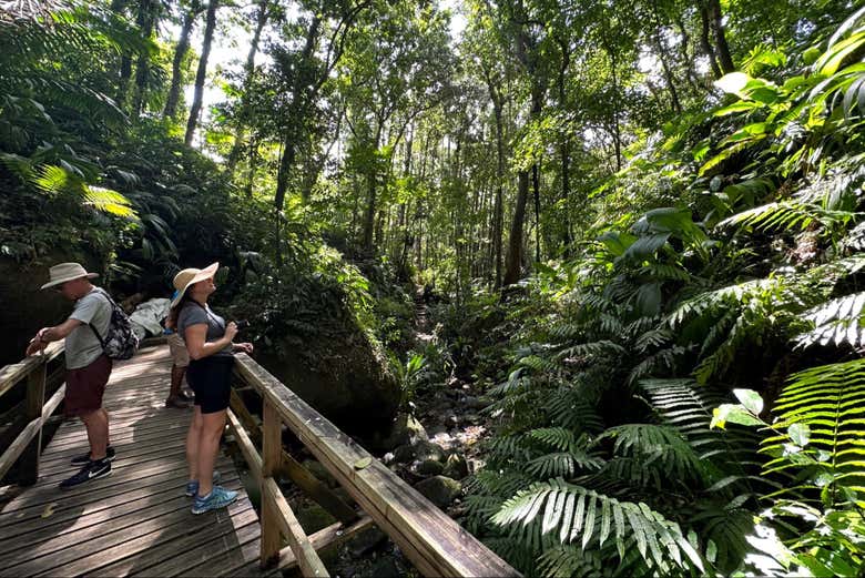 Escursione a Vermont Nature Trail 