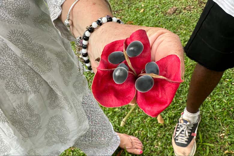 Alla scoperta della flora di Kingston