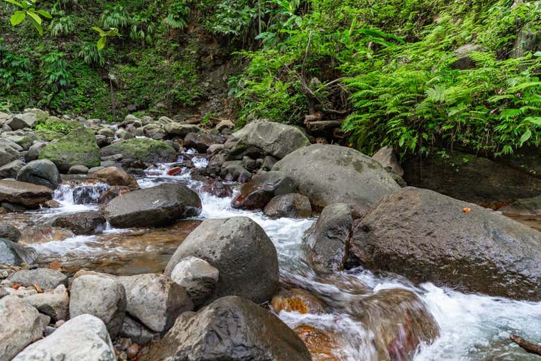 Vermont Nature Trail