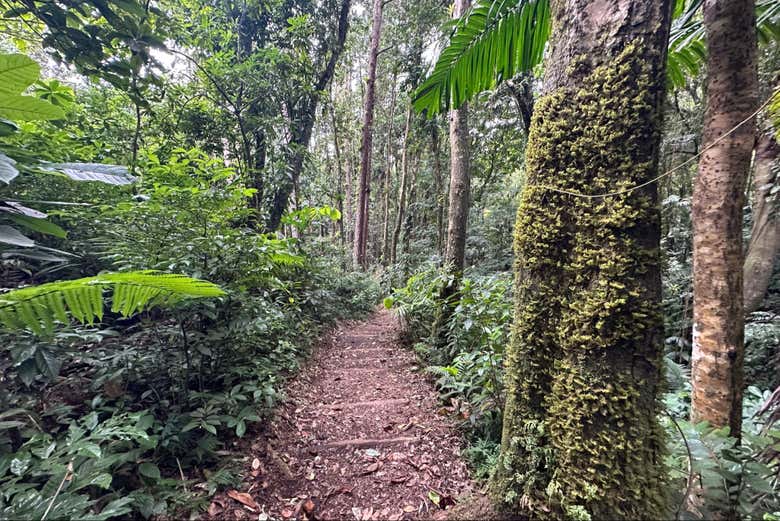 Percorreremo bellissimi sentieri