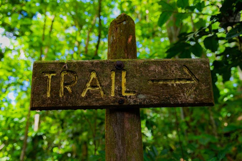 Uno dei sentieri del Vermont Natura Trail