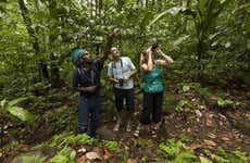 Avistamiento de aves en Rainforest Santa Lucía