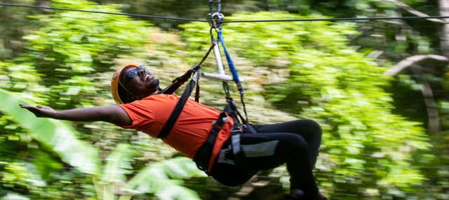 Rainforest Adventures Saint Lucia Ticket