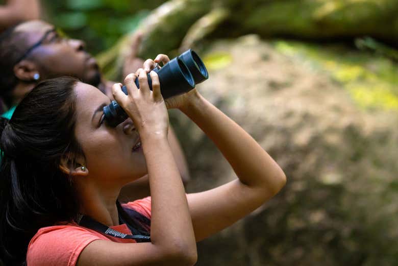 Observando aves em seu habitat natural