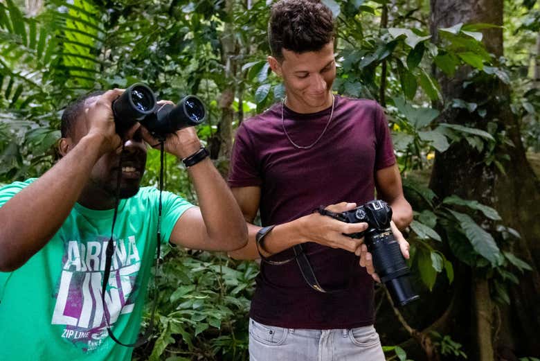 Apreciando a atividade de observação de aves