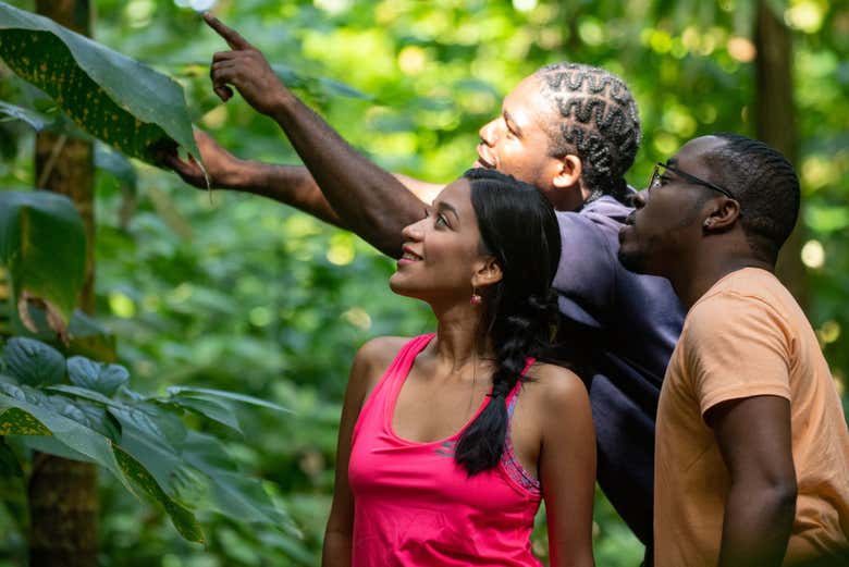 El guía os contará todo sobre las aves que veamos