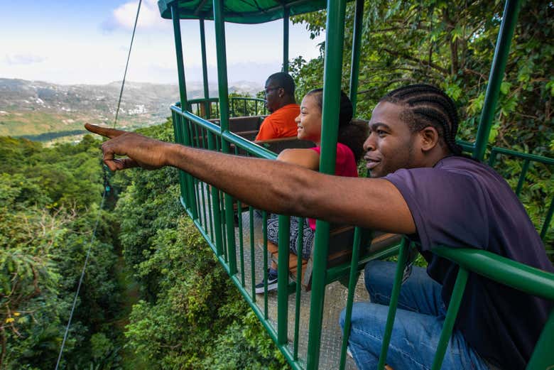 Contemplando las vistas