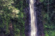Excursión a Monte Café, cascada de São Nicolau y Jardín Botánico de Bom Sucesso