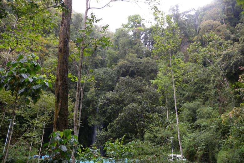 Nature in São Tomé & Príncipe