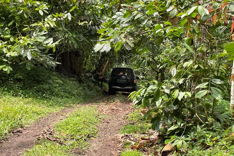 Traversez les routes de São Tomé