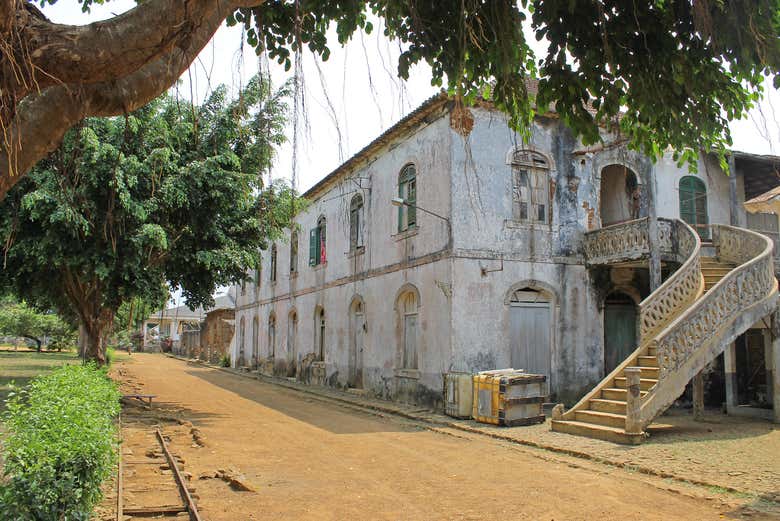 Plantation de cacao de l'époque coloniale