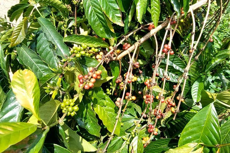 Make the most of your visit!