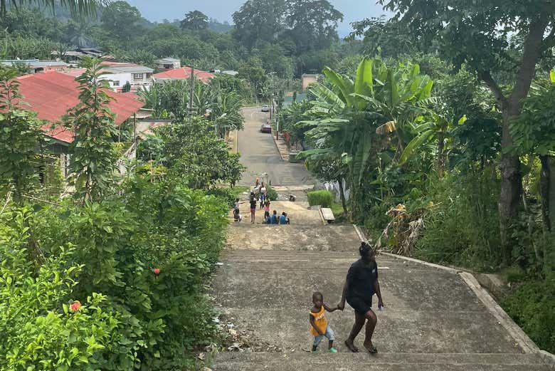 Paisajes de Monte Café