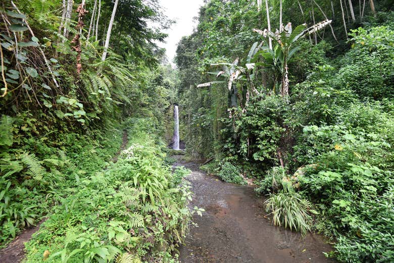 Cachoeira de Bombaim