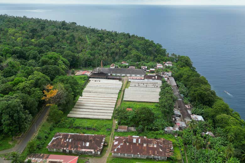 Plantaciones de cacao del norte de Santo Tomé