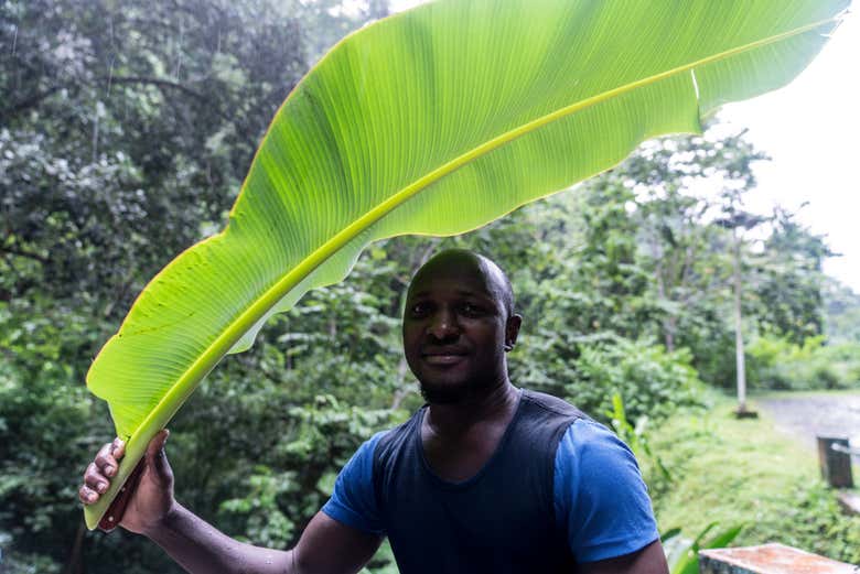 Visitando el Jardín Botánico de Bom Sucesso