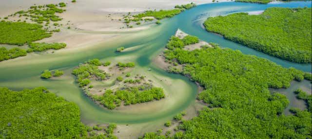 Tour to the Saloum Delta