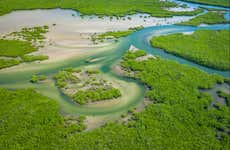 Tour to the Saloum Delta