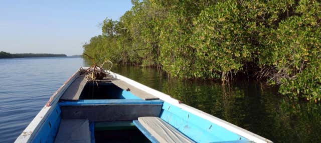 Saloum Delta Private Trip