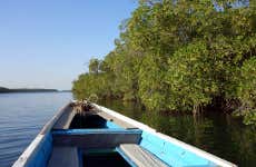 Excursion privée dans le delta du Saloum