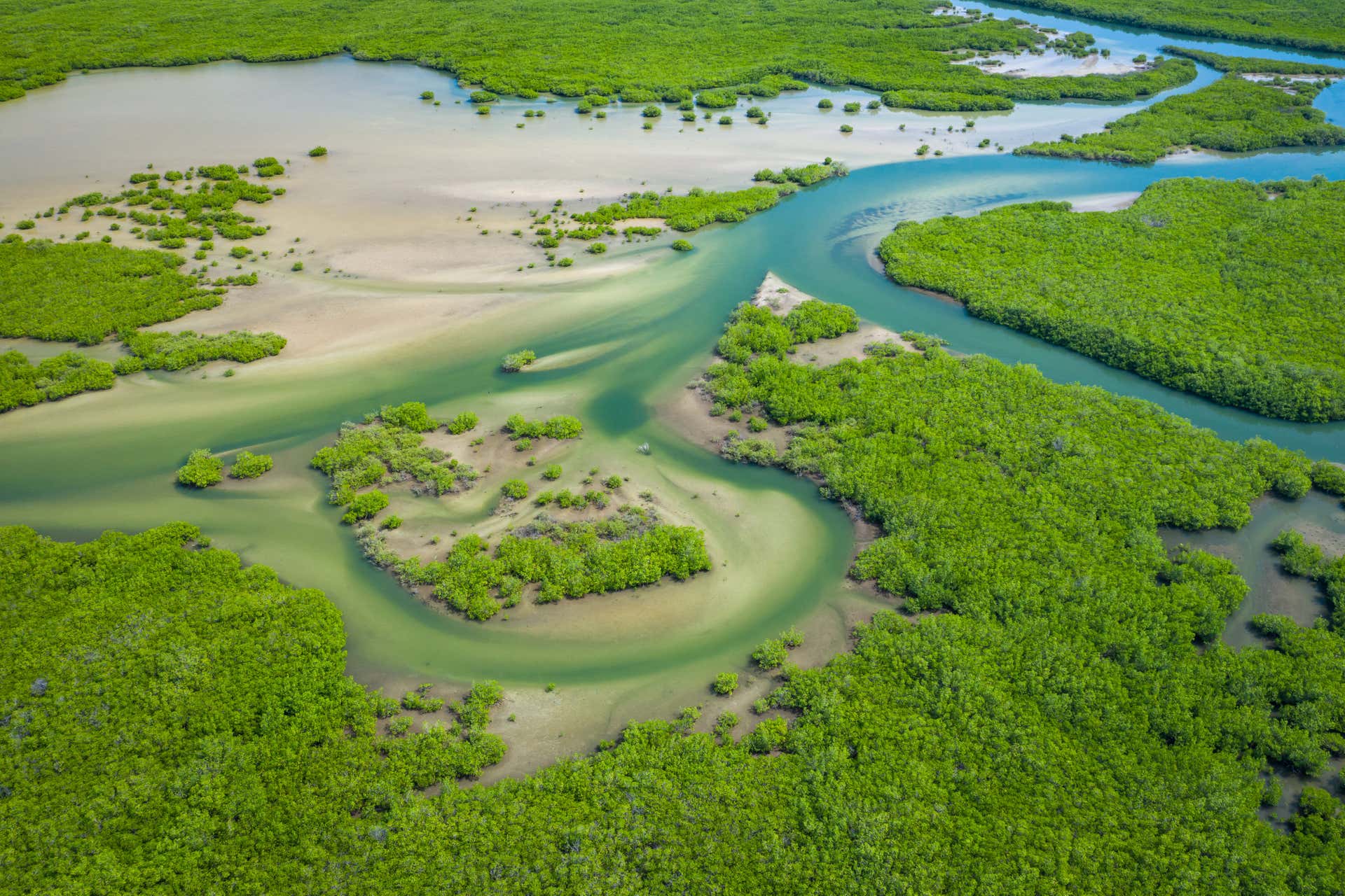 Excursion privée dans le delta du Saloum à Niaga - Civitatis.com