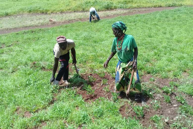 Senegalese farmers