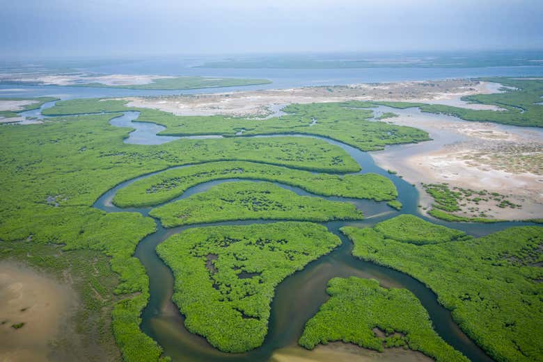 Salum Delta National Park