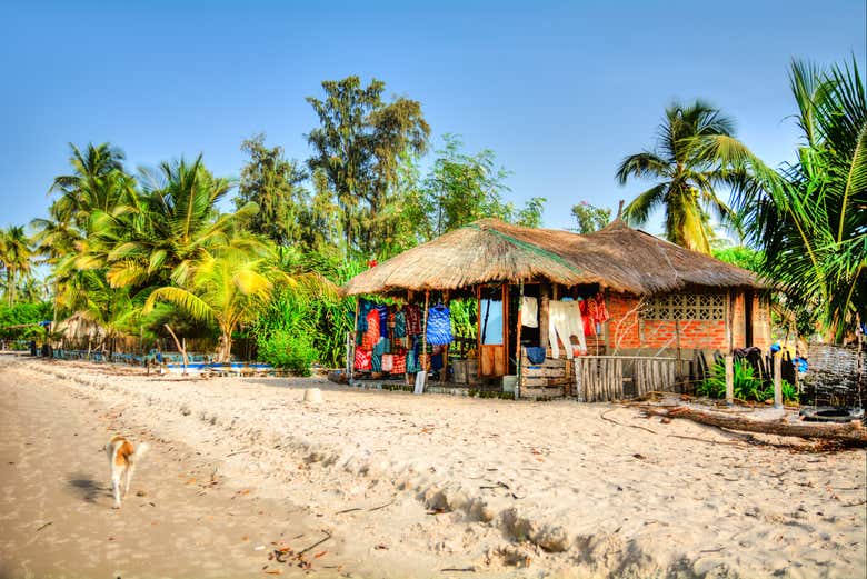Traditional houses on Carabane Island