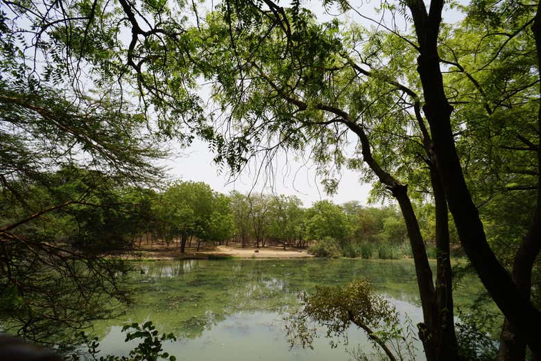 The Bandia Reserve