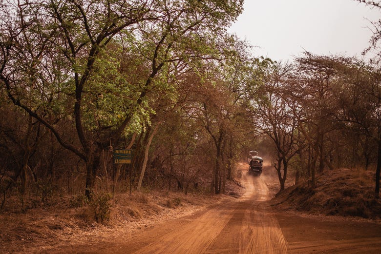 Faire un safari dans la réserve de Bandia
