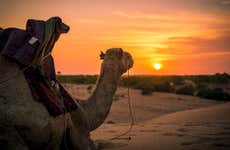 Deserto de Lompoul e deltas dos rios Senegal e Salum em 10 dias