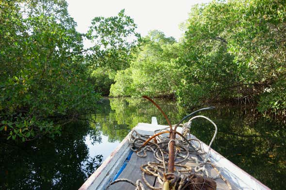 Excursión privada al delta del Salum