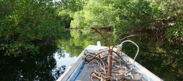 Excursión privada al delta del Salum