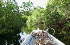 Excursión privada al delta del Salum