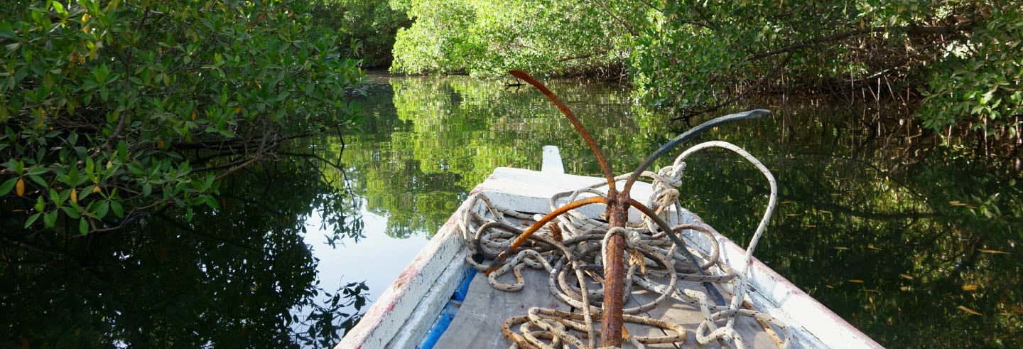 Day trips in Saly