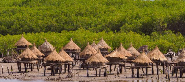 Excursión a Joal Fadiouth y el delta del Salum