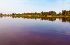Excursión privada al Lago Rosa