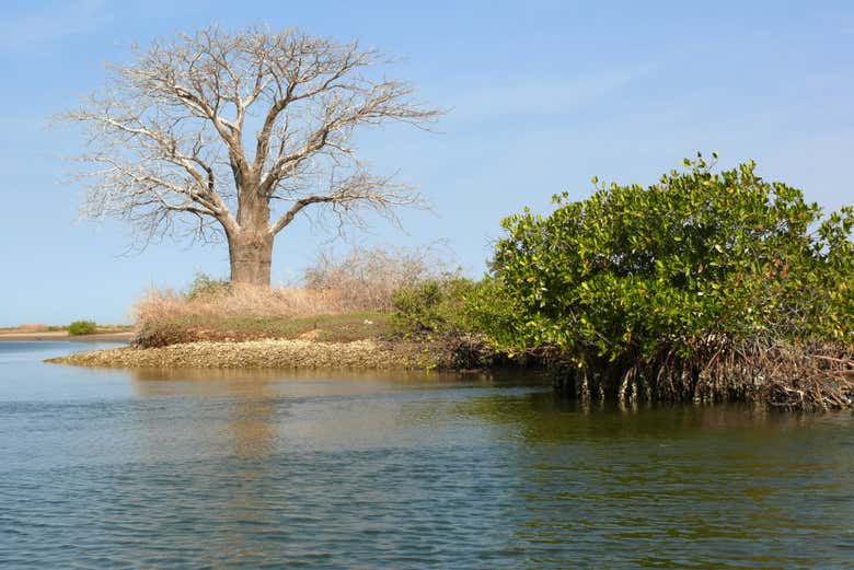 Delta del Salum