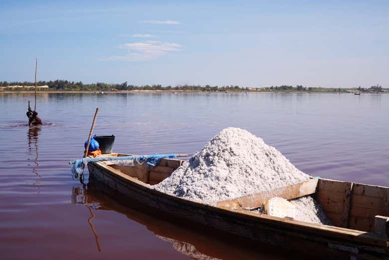 Panning for salt in the Pink Lake