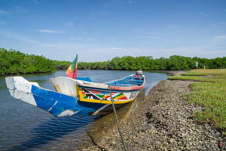 Motorized canoe on the Saloum Delta