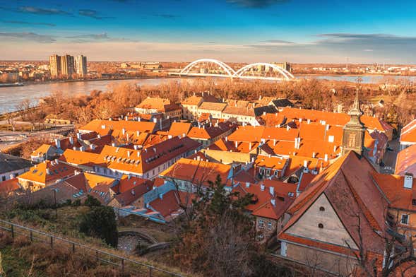 Excursión a Novi Sad