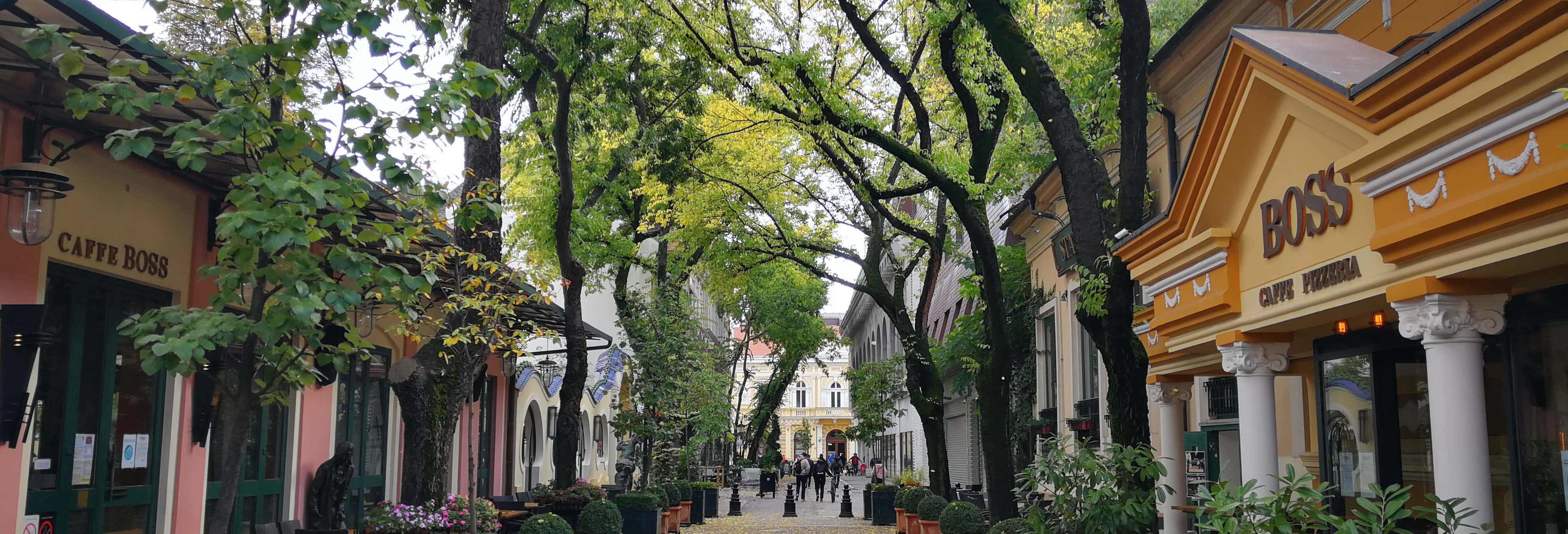 Day trips in Belgrade