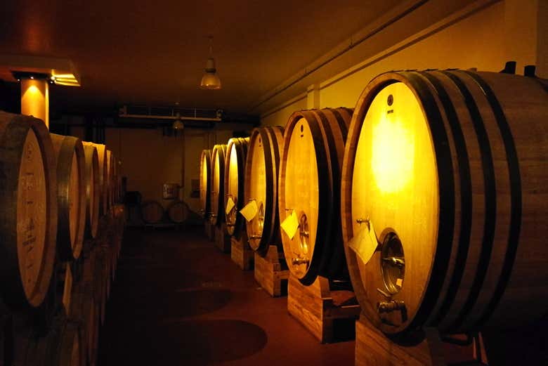 Explore the Zvonko Bogdanen winery